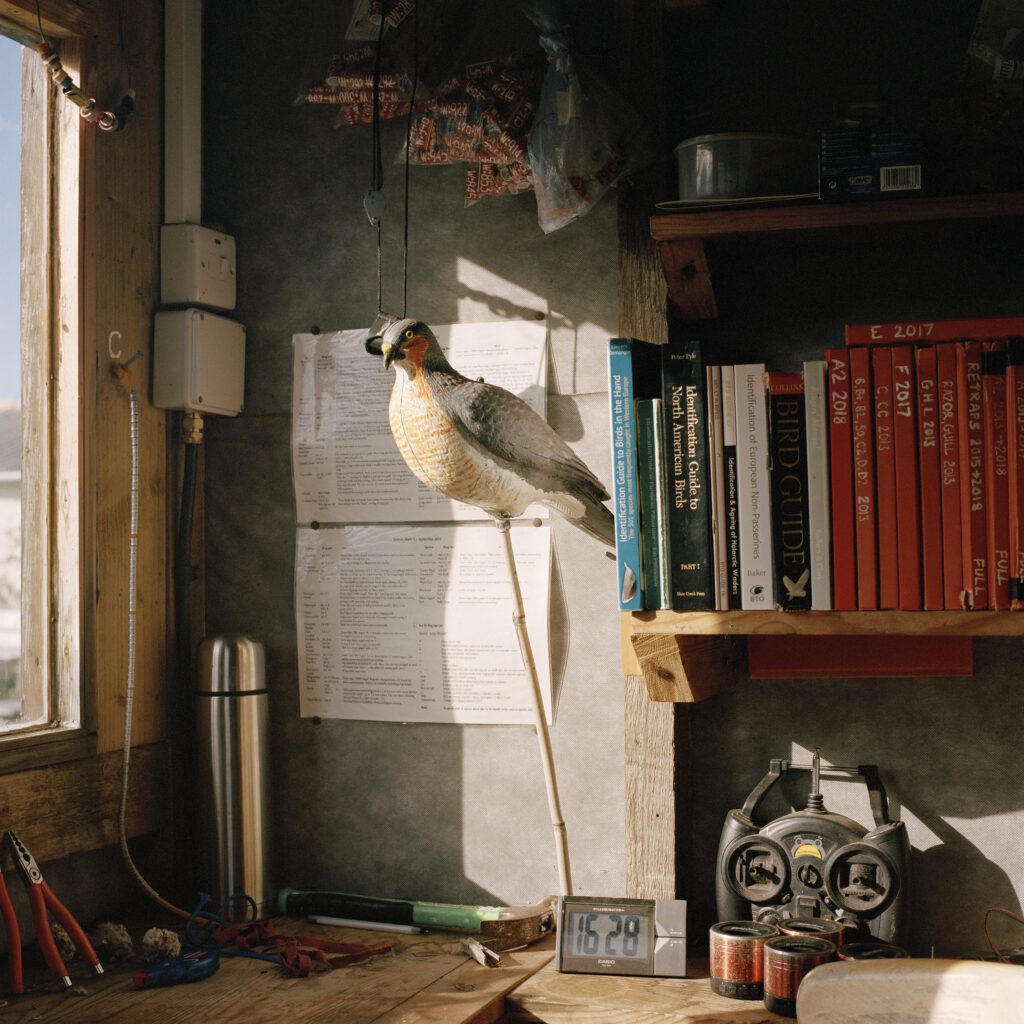 Skokholm_Stilllife_1 001