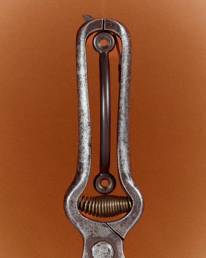 SHOT 003_MGCO_ESSENTIALS_CAMPAIGN_23_07_2025_015_WR